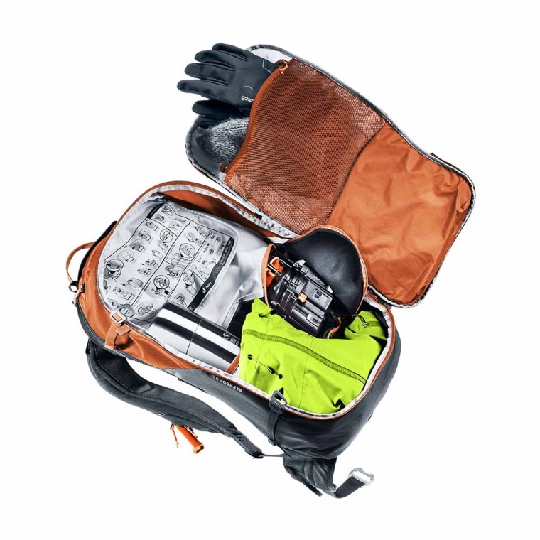 Chestnut-Black Deuter Alproof 32